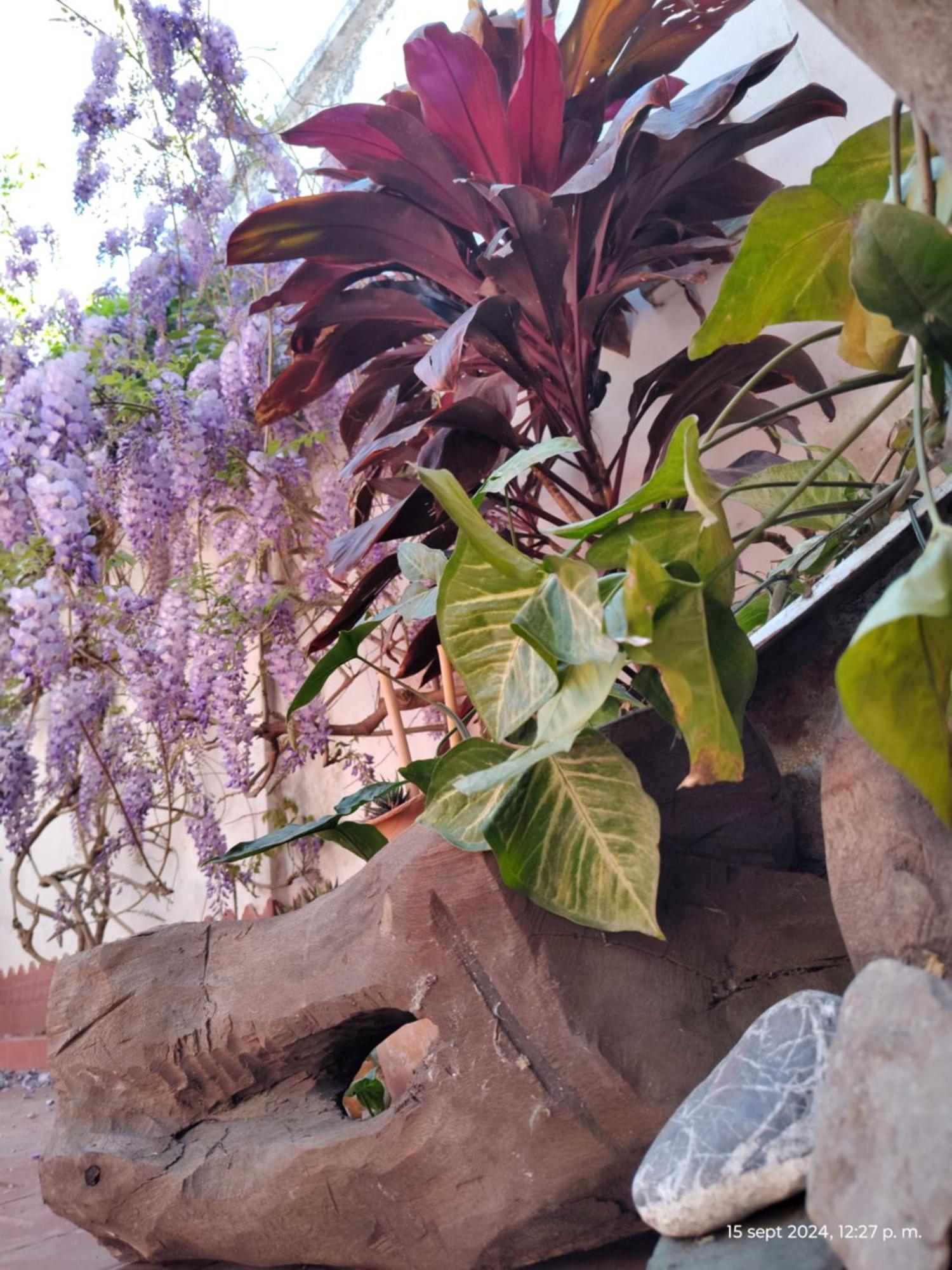 Casa Kuyay Villa San Salvador de Jujuy Buitenkant foto