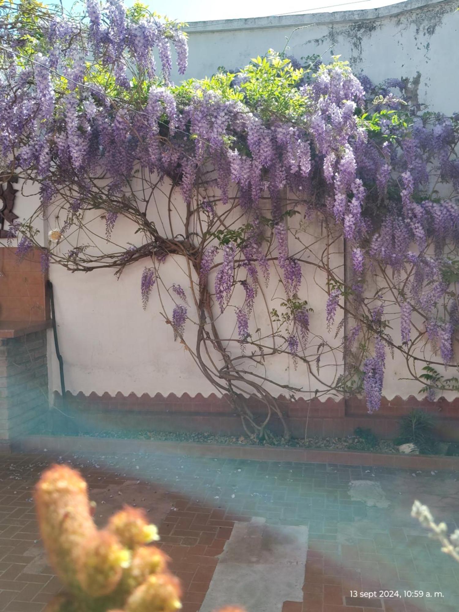 Casa Kuyay Villa San Salvador de Jujuy Buitenkant foto